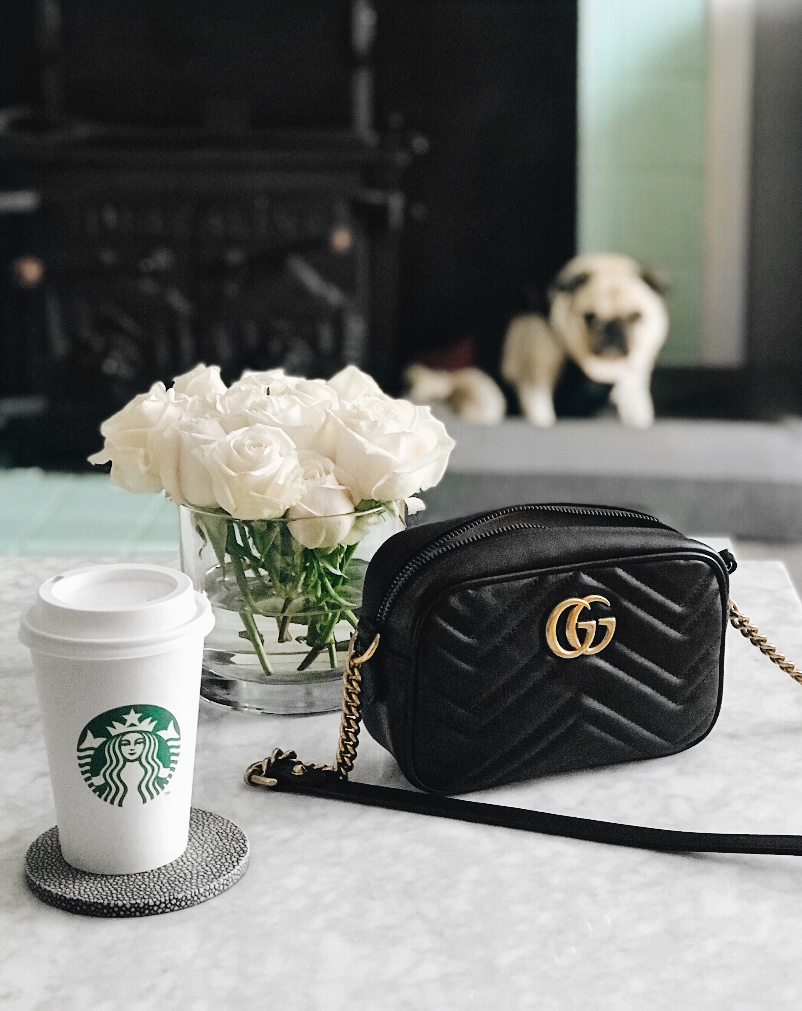 Starbucks coffee and Gucci Marmont handbag | CoffeeAndHandbags.com
