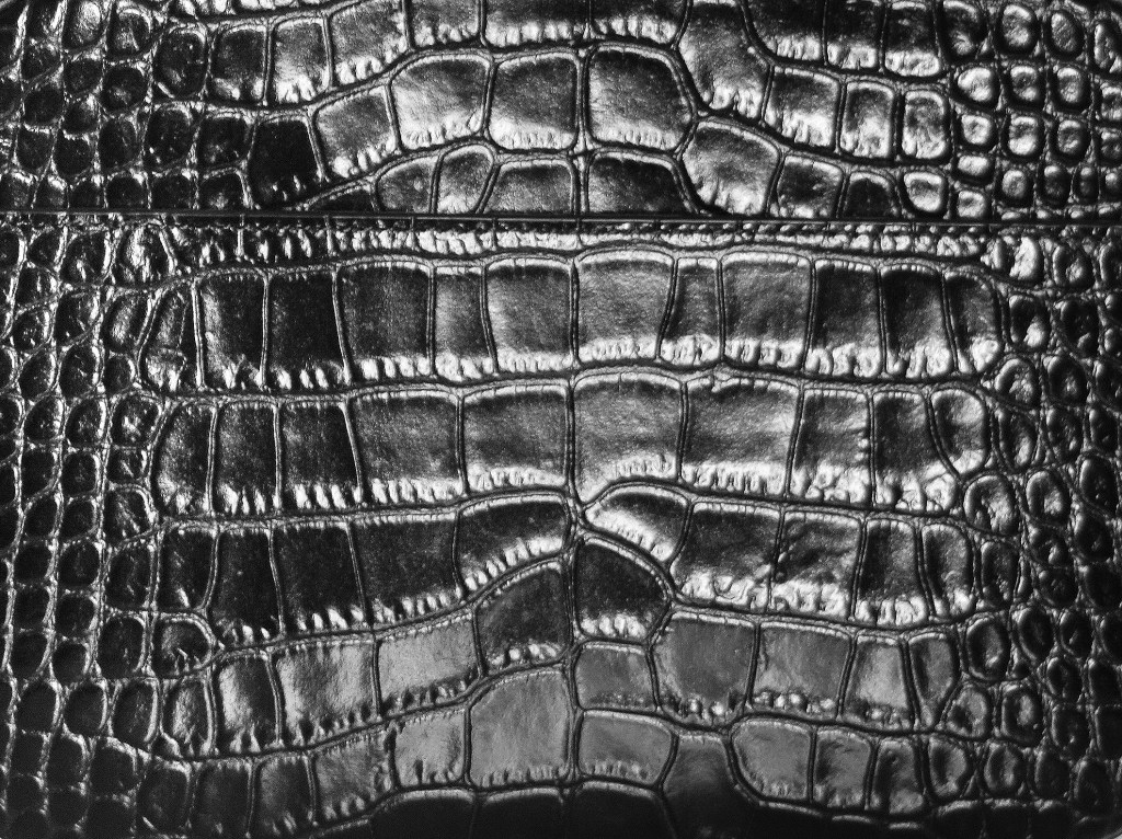 Trend watch: embossed&nbsp;croc